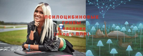 мяу мяу мука Осташков