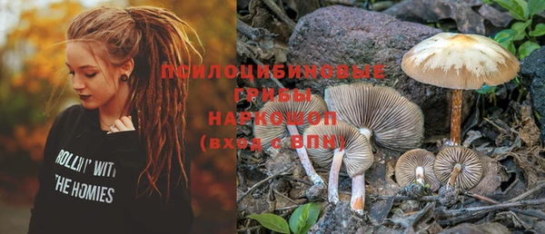 стаф Няндома